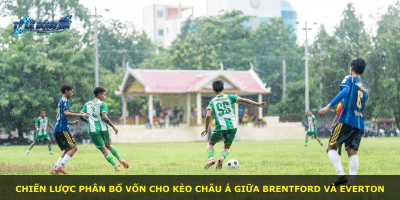 Chiến lược phân bổ vốn cho kèo châu Á giữa Brentford và Everton