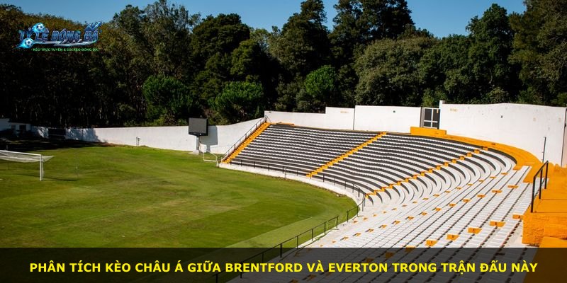 Phân tích kèo châu Á giữa Brentford và Everton trong trận đấu này