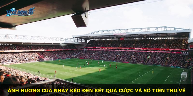 Ảnh hưởng của nhảy kèo đến kết quả cược và số tiền thu về